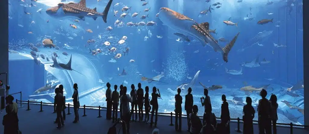 Oceanographic Museum