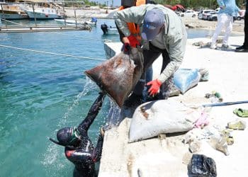 Demre’de Denizden 1 Ton Atık Çıktı: Maviye Sahip Çıkılıyor