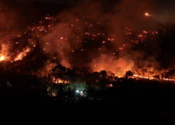 İzmir’de 3. Noktada Yangın: Ormanlar Tehdit Altında