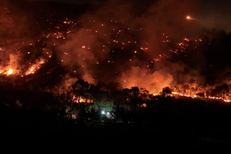 İzmir’de 3. Noktada Yangın: Ormanlar Tehdit Altında