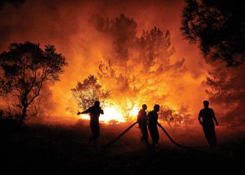 Bu Yaz Ne Kadar Ormanımız Gitti? 10 Yıl Öncesine Göre Kayıp İki Katına Çıktı
