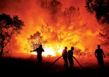 5’i Orman İşçisi, 5’i AKUT Mensubu 10 Kişi Şehit Oldu