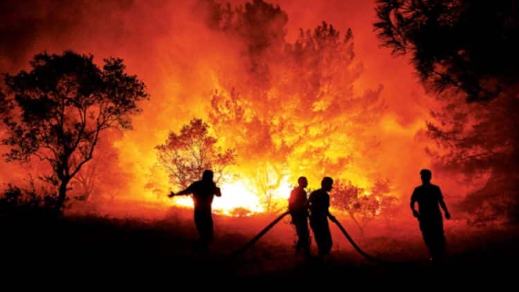 5’i Orman İşçisi, 5’i AKUT Mensubu 10 Kişi Şehit Oldu