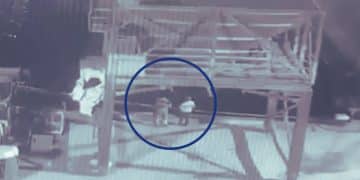 Arel 7’nin Limanda Güvenlik Kamerası Görüntüleri Ortaya Çıktı