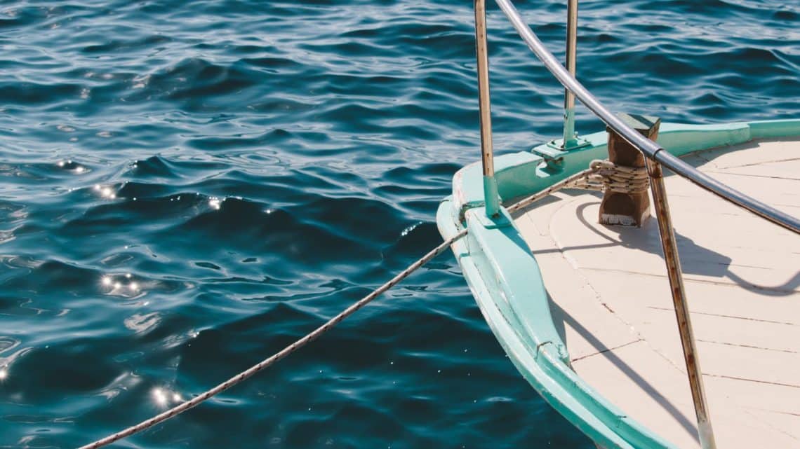 Bağlama Kütüğü Ruhsatı Nereden ve Nasıl Alınır?