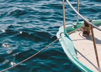 Bağlama Kütüğü Ruhsatı Nereden ve Nasıl Alınır?