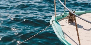 Bağlama Kütüğü Ruhsatı Nereden ve Nasıl Alınır?