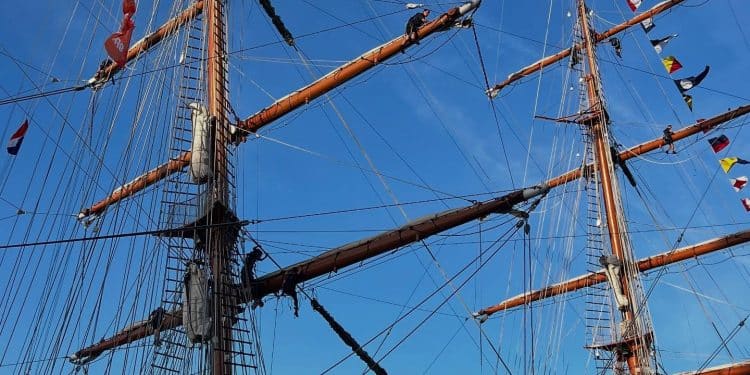 10 Bin Gemi, Milyonlarca Ziyaretçi: SAIL Amsterdam 2025