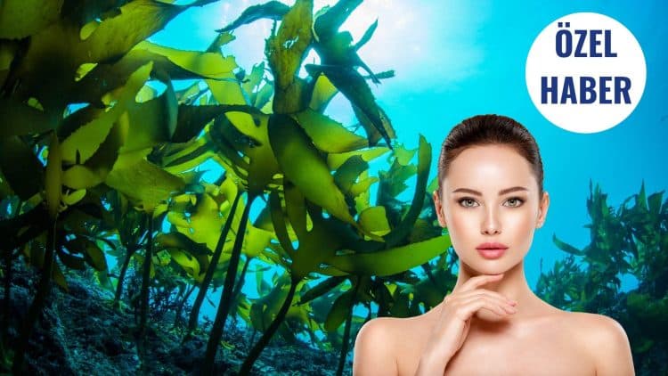 Denizden Gelen Güzellik: Kozmetikte Deniz Yosunu Mucizesi