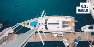 Bağlama Kütüğü Ruhsatı Yenilenmezse Ne Olur?