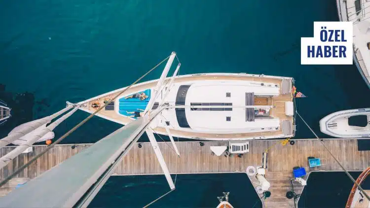 Bağlama Kütüğü Ruhsatı Yenilenmezse Ne Olur?