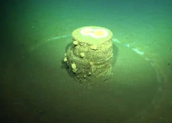 Okyanusun Dibindeki Gizemli Halkaların Sırrı Çözüldü: Fıçılardan Alkali Atık Sızıyor