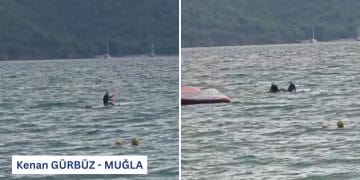 Düşen Sörfçüyü SUP’cu Kurtardı