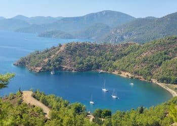 186 Yatlık İskeleden Doğa Alarmına: Kille Koyu’nda Halk Sokağa Çıktı