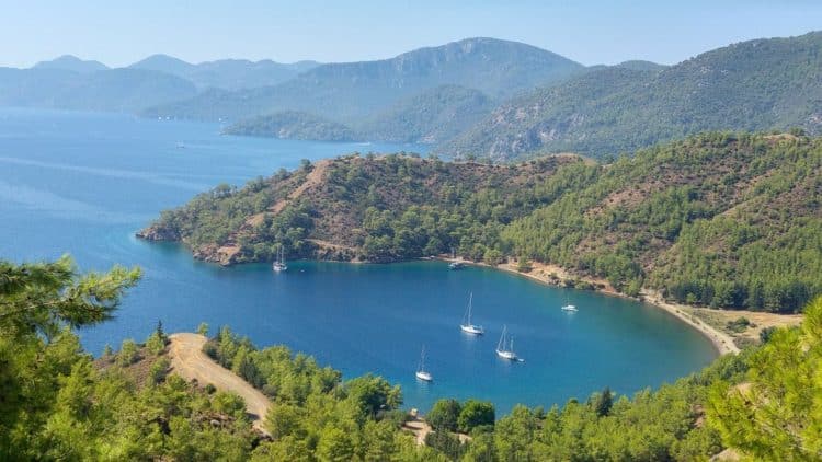 186 Yatlık İskeleden Doğa Alarmına: Kille Koyu’nda Halk Sokağa Çıktı