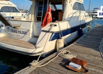 Bağlama Kütüğü Ruhsatnamesi Yenileme: Gerekli Evraklar ve Harç Süreci