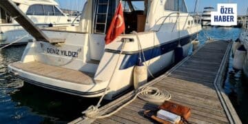 Bağlama Kütüğü Ruhsatnamesi Yenileme: Gerekli Evraklar ve Harç Süreci