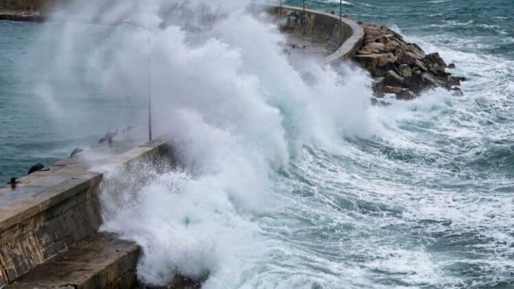Hangi Deniz Ne Kadar Riskli? 21–23 Ocak Seyir Uyarıları