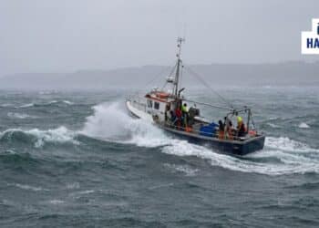 Denizciler İçin 3 Günlük Risk Haritası: Ege Zirvede, Akdeniz Pazar Sertleşiyor