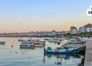 “Belediye Eksikleri Tamamlamadı” Dedi ve Bakanlık Yat Limanı Projesini İptal Etti