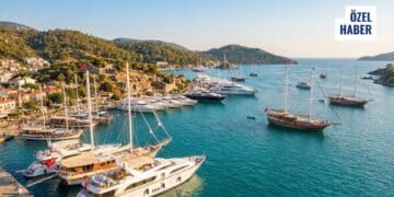 Türkiye Charter Pastasında Neden %6?