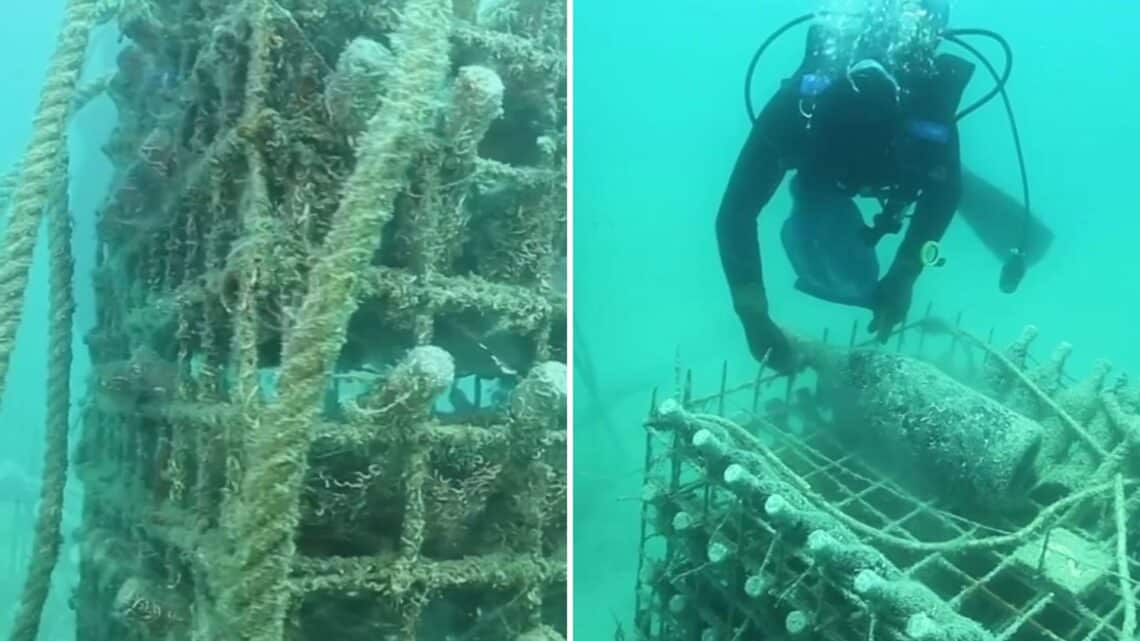 Deniz Altında Yıllanan Şaraplar Yeni Bir Lüks Deneyime Dönüşüyor