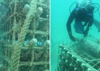 Deniz Altında Yıllanan Şaraplar Yeni Bir Lüks Deneyime Dönüşüyor