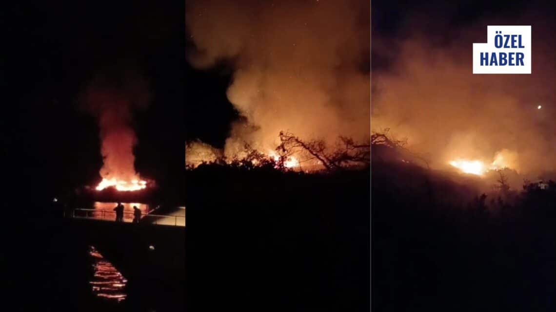 Gökova Yedi Adalar’da Orman Yangını Kontrol Altına Alındı
