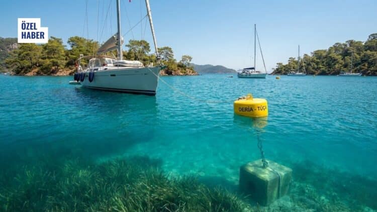 Yürütmesi Durdurulan Göcek Projesine 47 Gün Sonra Yeni ÇED Kararı